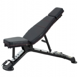 Commercial dumbbell bench